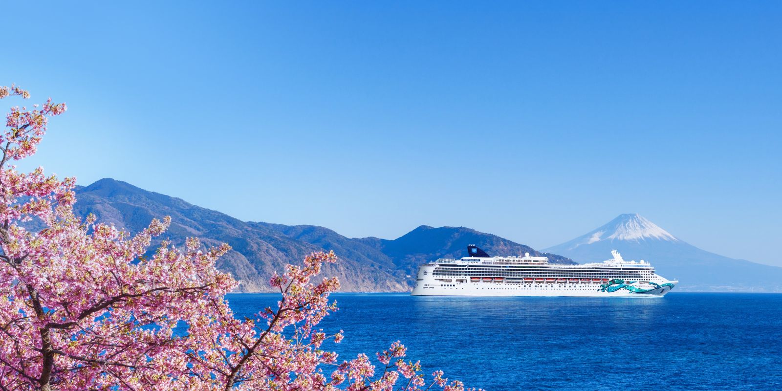 Cruise & Tour Brochure Launch Offer