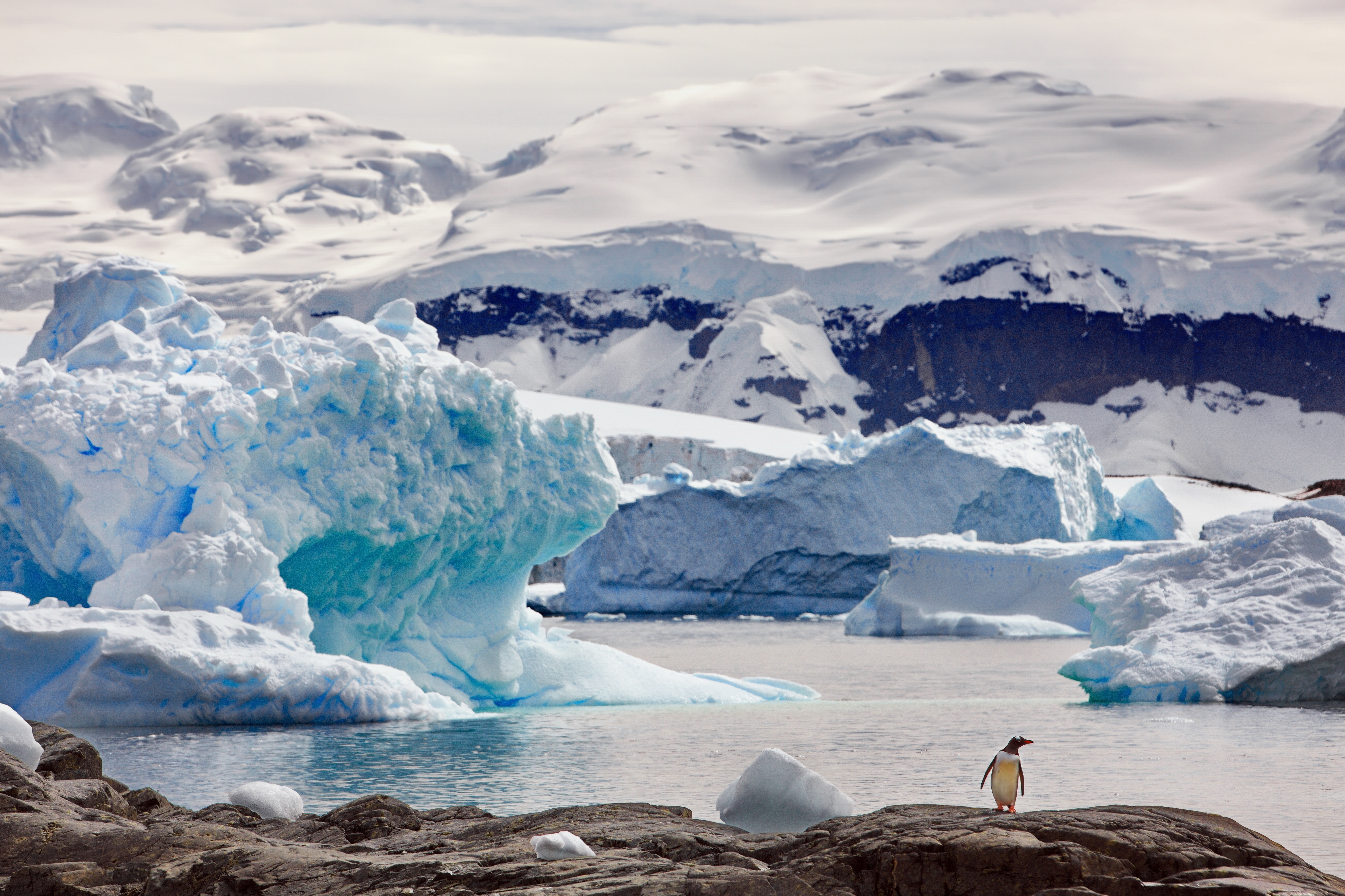 Day 16: Cruise – Elephant Island