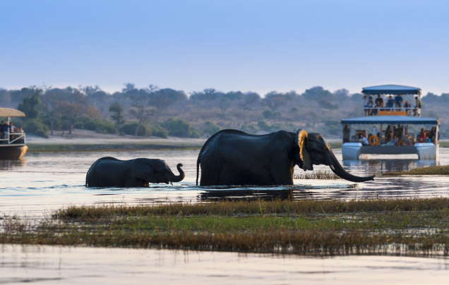 Day 22: Arrive in Victoria Falls