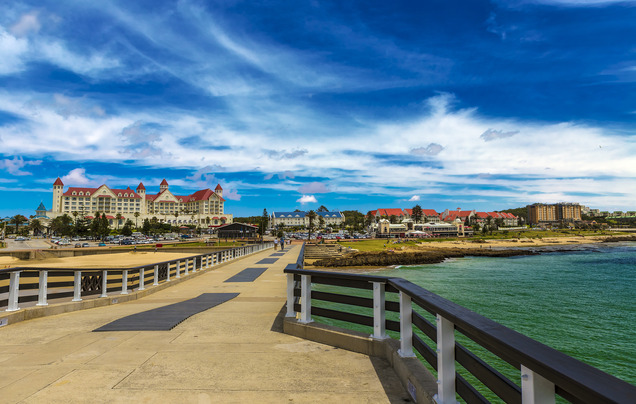 Day 14: Cruise – Port Elizabeth