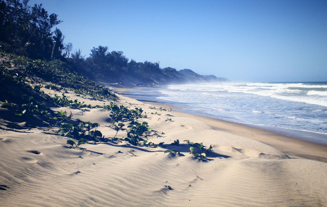 Day 11: Cruise – Richards Bay
