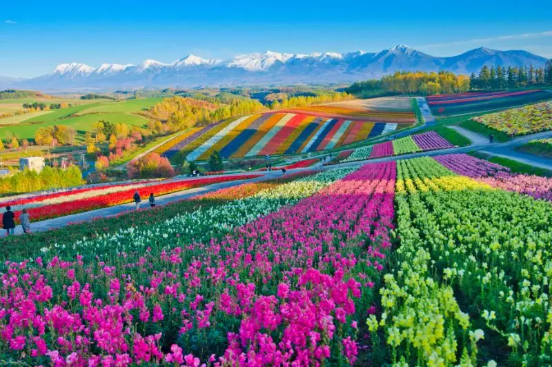 Northern Japan: Secrets of Hokkaido
