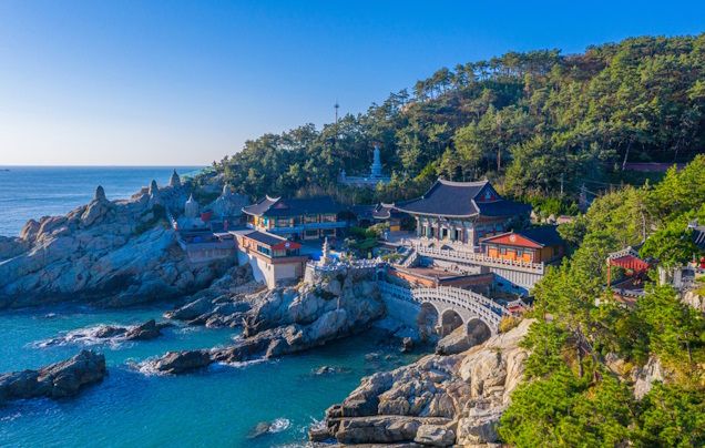 Day 8: Travel to Busan