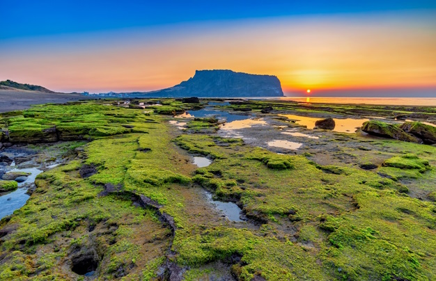 Days 11-12: Explore Jeju