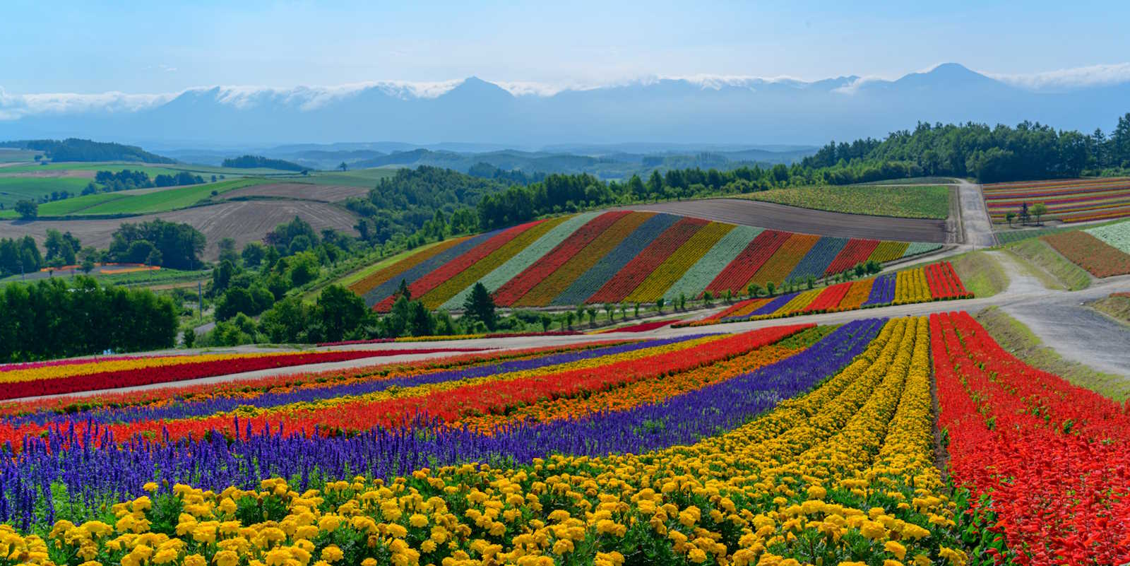 Hokkaido Holidays