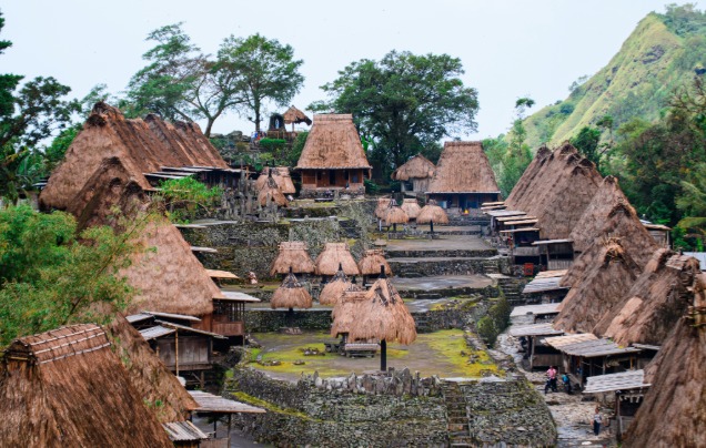 Day 17: Bajawa