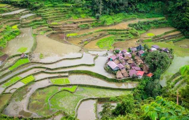 Day 5: Ifugao Culture & Hapao Terraces