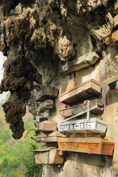 Special Introductory Offer