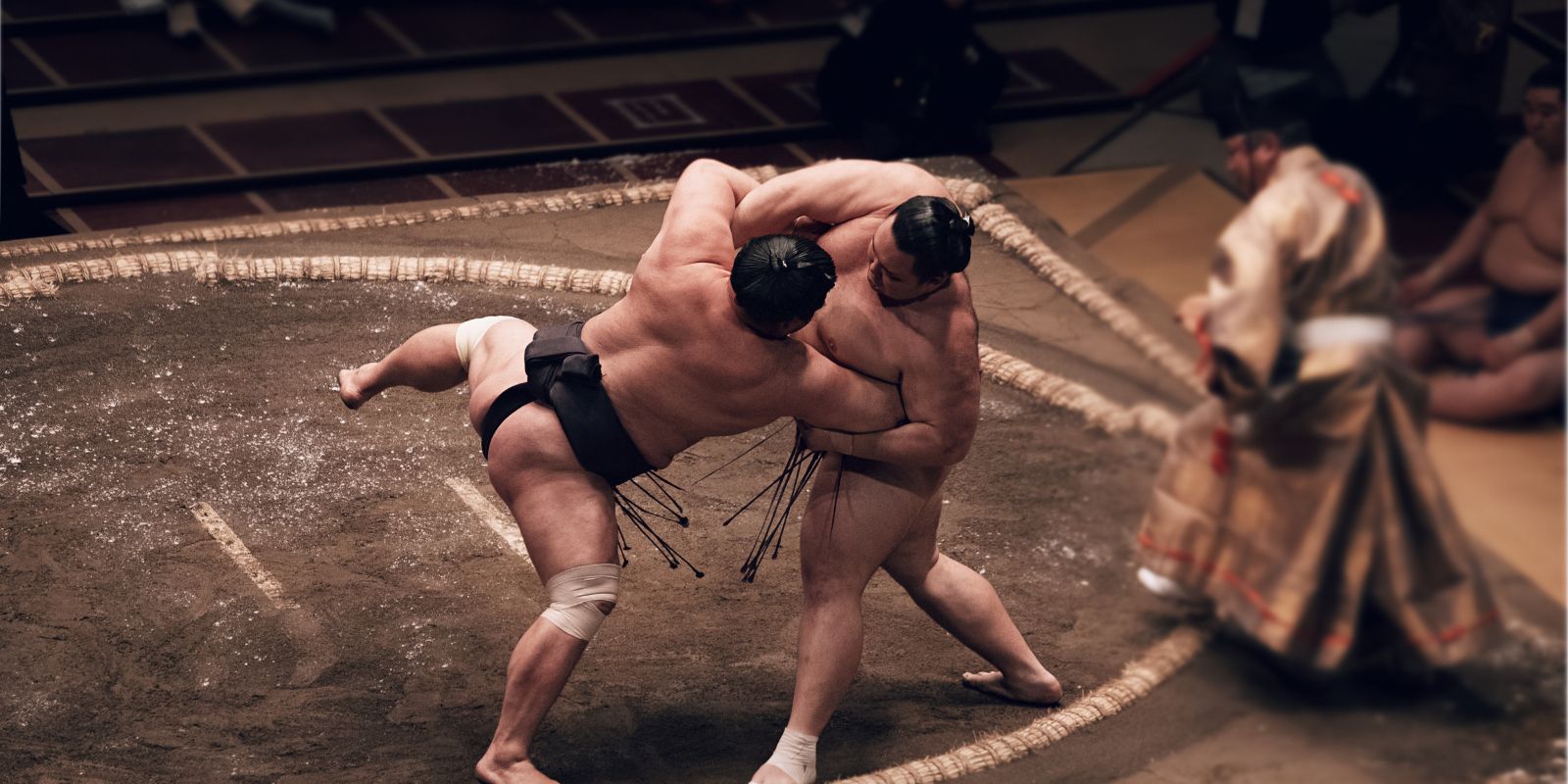 Sumo Wrestling - Tokyo