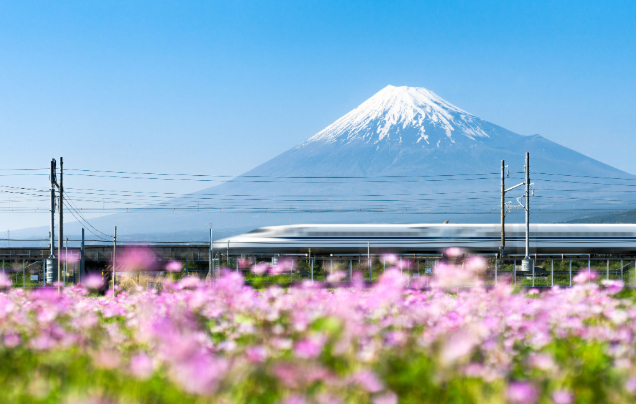 Day 5: Mount Fuji - Gardens & Kimonos