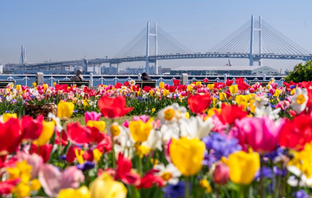 Day 4: Yokohama International Horticultural Expo