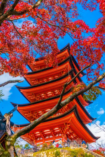 Save up to €840pp on a wide selection of tours