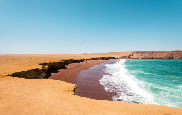 Day 1: Arrive Paracas