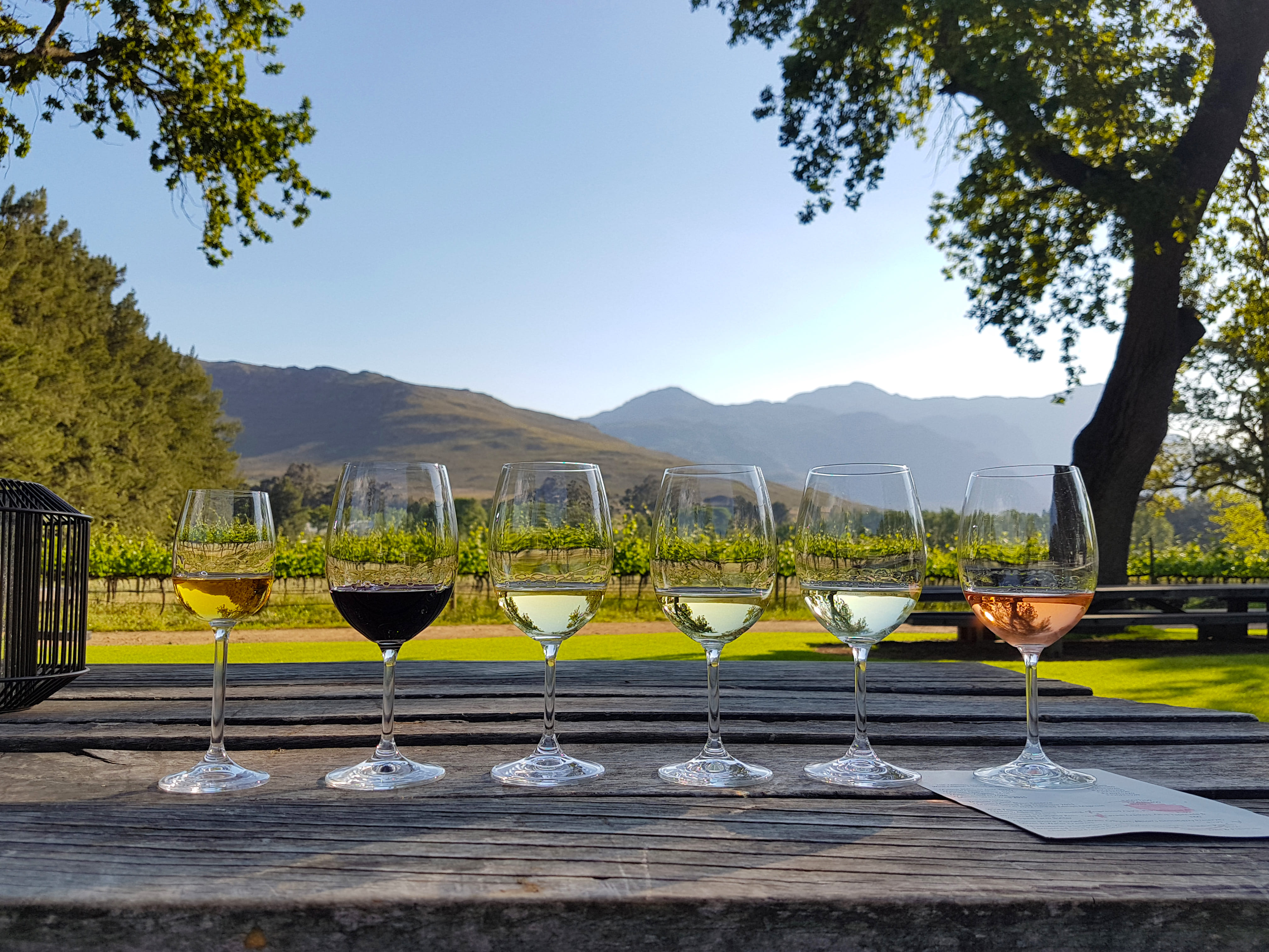 Day 11: Franschhoek – Cape Town