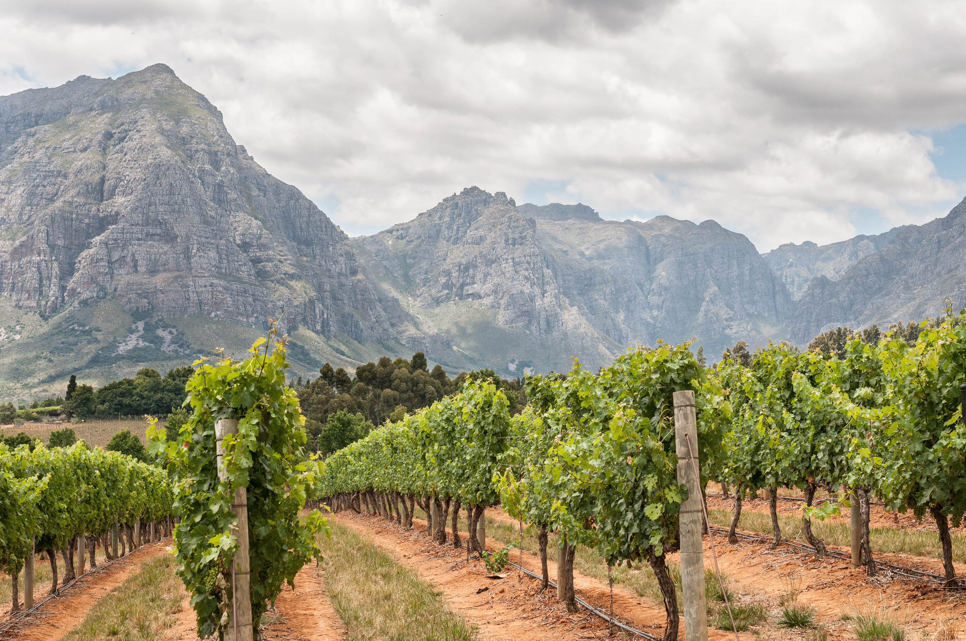 Day 10: Arniston – Stellenbosch – Franschhoek