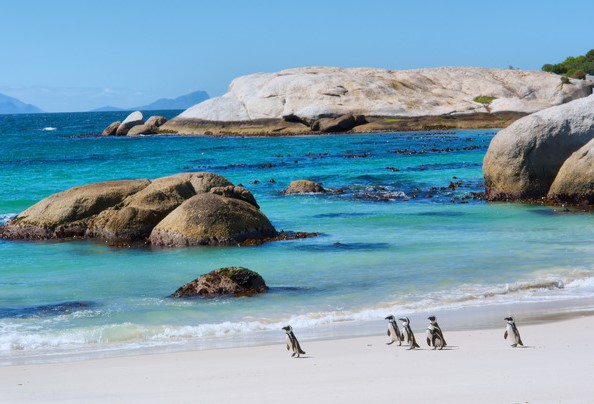 Day 12: Cape Peninsula on Christmas Eve