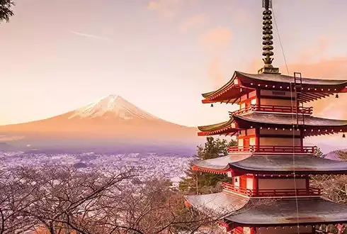 Tokyo Mt Fuji &amp; Bullet Train