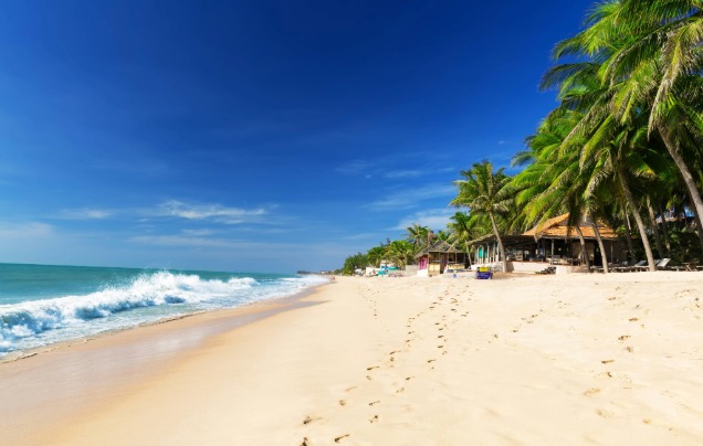 Day 3 Mui Ne Free Day