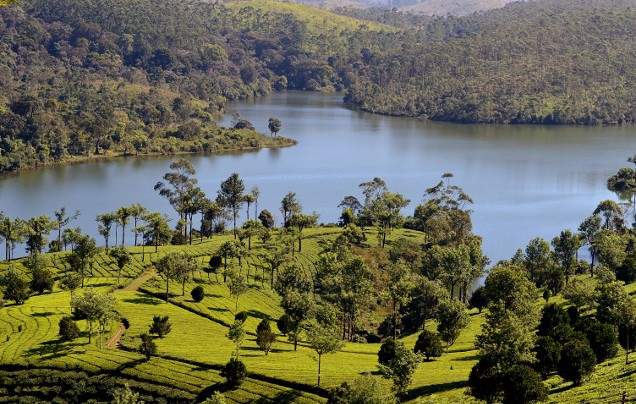 Day 11: Travel to Thekkady