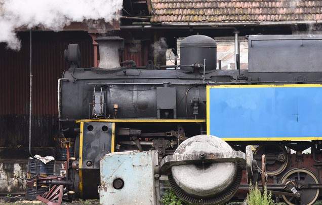 Day 8: Narrow Gauge Railway