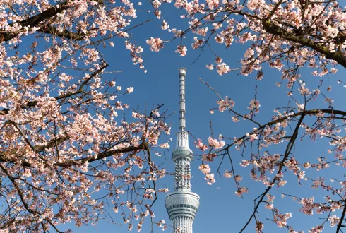 Tokyo Skytree