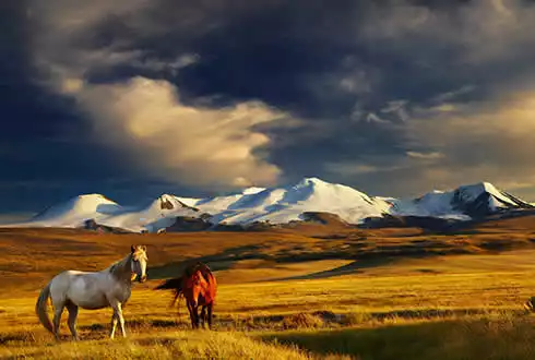 Mongolia